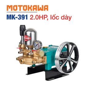 Đầu bơm MOTOKAWA MK-391 (2HP, Piston 30mm, Lốc dày) - Ảnh 1