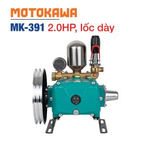 Đầu bơm MOTOKAWA MK-391 (2HP, Piston 30mm, Lốc dày) - Ảnh 4