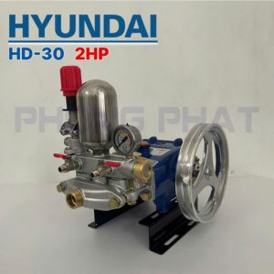 Đầu bơm Pít tông inox mạ Crom HYUNDAI HD-30 (2HP, Piston 30mm) - Ảnh 1